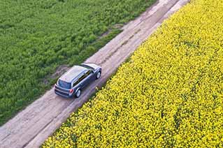 Car driving on a dirt road between a green field and a yellow flower field seen from above. Car driving on a dirt road between a green field and a yellow flower field seen from above.
